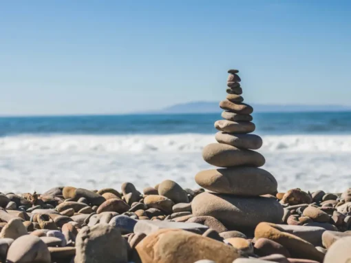 Wellness — The ALife Qare Philosophy